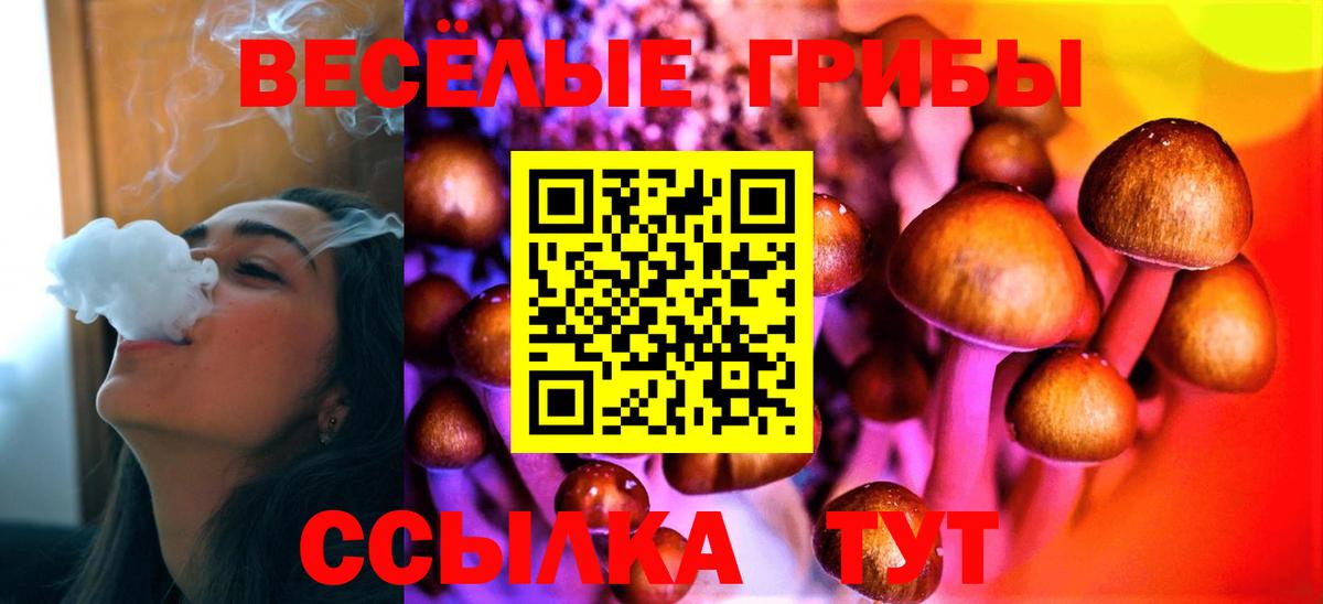 Галлюциногенные грибы мухоморы Ишим