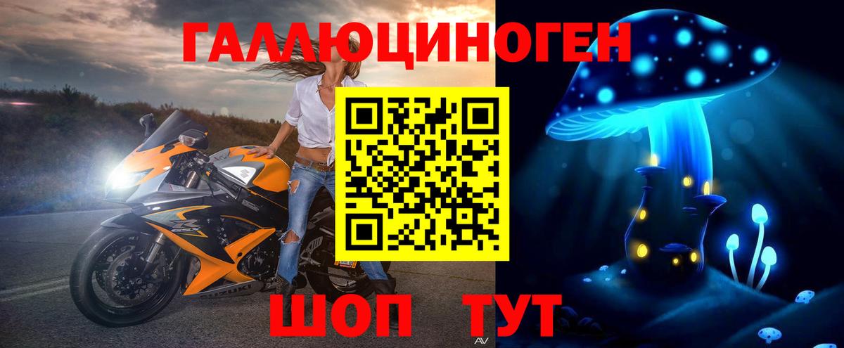 Ишим  Псилоцибиновые грибы прущие грибы  Вход с VPN 